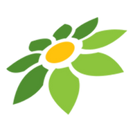 TOKOPEDIA WEB